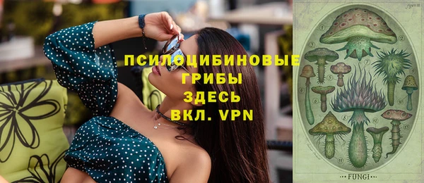 стаф Мегион