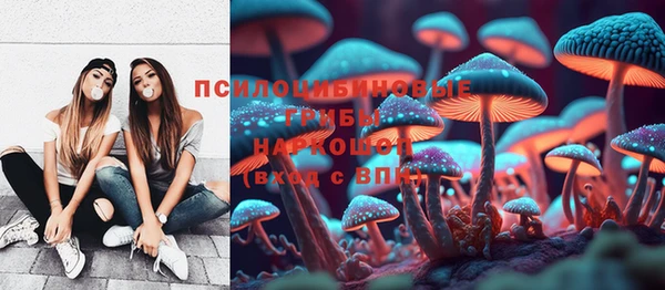 молекула духа Медногорск