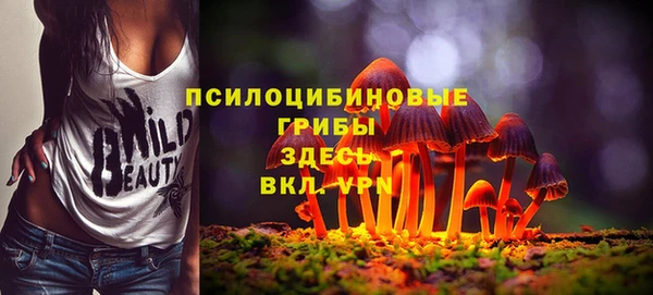 бошки Медвежьегорск