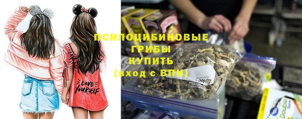 молекула духа Медногорск