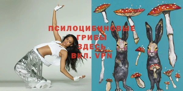 молекула духа Медногорск